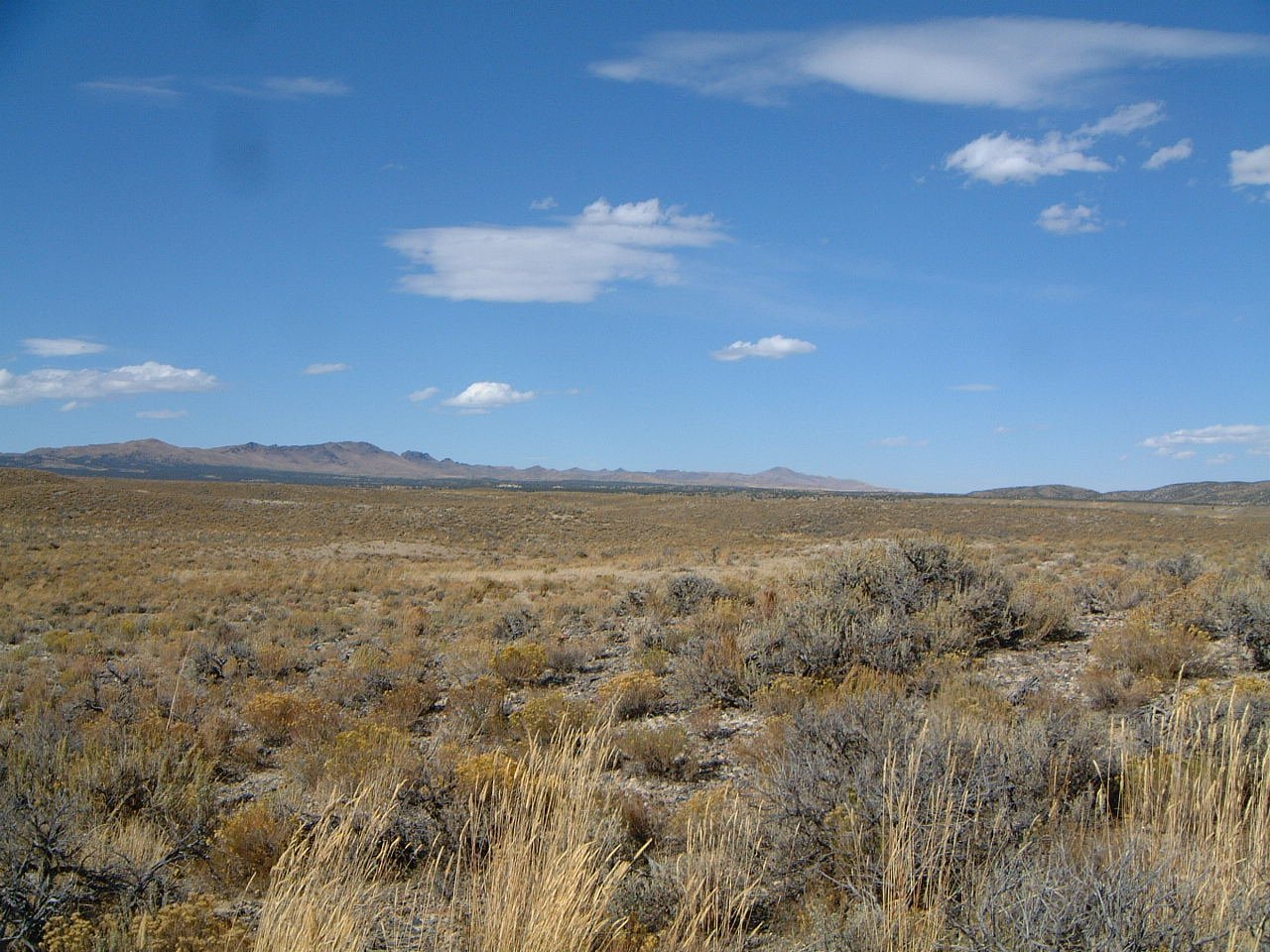 rock-spring-creek-nevada